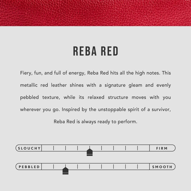'Almost Perfect' Astra Pouch