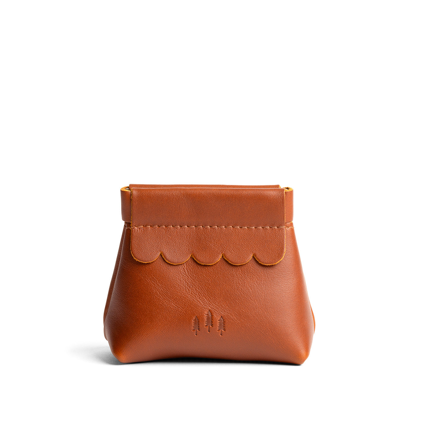 'Almost Perfect' Penny Pouch